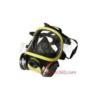供应威尔牌VERH型安全救生器材防护面具 防毒全面罩 过滤式防毒面具 防尘防毒面罩