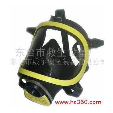 供应防毒面罩 防毒气全面罩 防毒面具 防油漆全面罩  空气呼吸器面罩