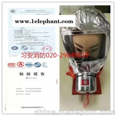 防毒面具 过滤式消防自救呼吸器火灾防烟逃生面具TZL30