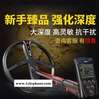 XP METAL DETECTORS XPX35-ORX进阶版 法国x35金属探测器 铜钱银元无线防水图1