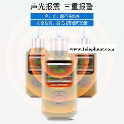 普利通 泵吸式臭氧检测仪 PLT300-O3臭氧探测器 臭氧浓度检测仪 臭氧浓度计药厂专用图3