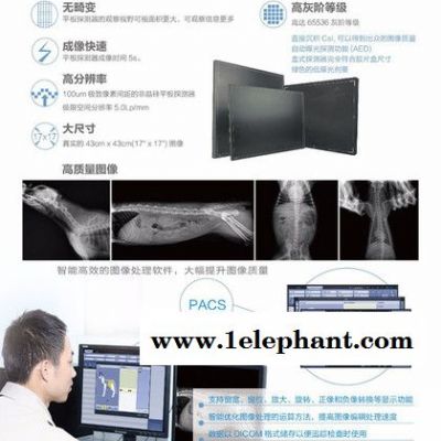 宠物X光机高频高压发生器数字化 动物DR 宠物国产平板探测器升级系统图2